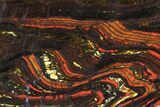 Polished Tiger Iron Stromatolite - ( Billion Years) #96223-1